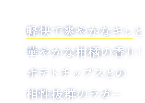 湖池屋×伊勢角屋麦酒 クラフトビールとポテトチップス あわせて旨みが