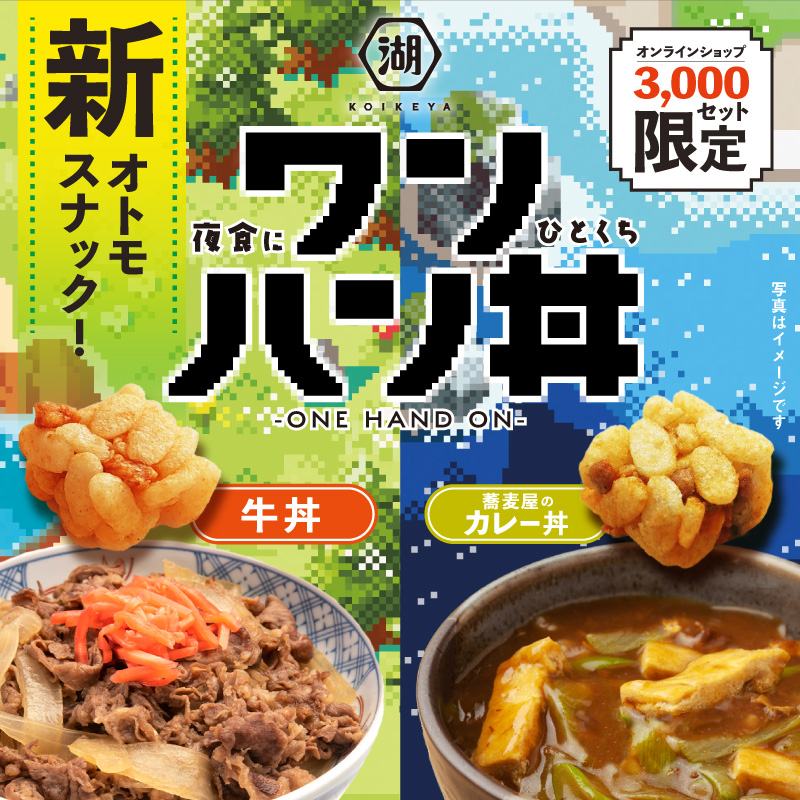 ワンハン丼 牛丼&カレーセット