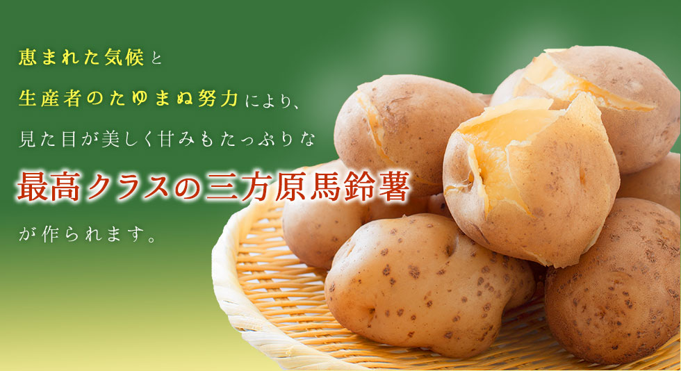 恵まれた気候と生産者のたゆまぬ努力により、見た目が美しく甘みもたっぷりな最高級の三方原馬鈴薯が作られます。